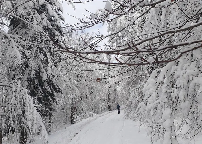 Renata Hébergement de vacances